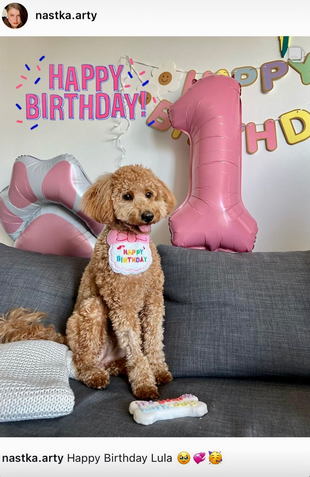 Our Happy Paw Family: Lula Turns One!