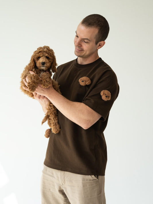 Mini Goldendoodle Boys
